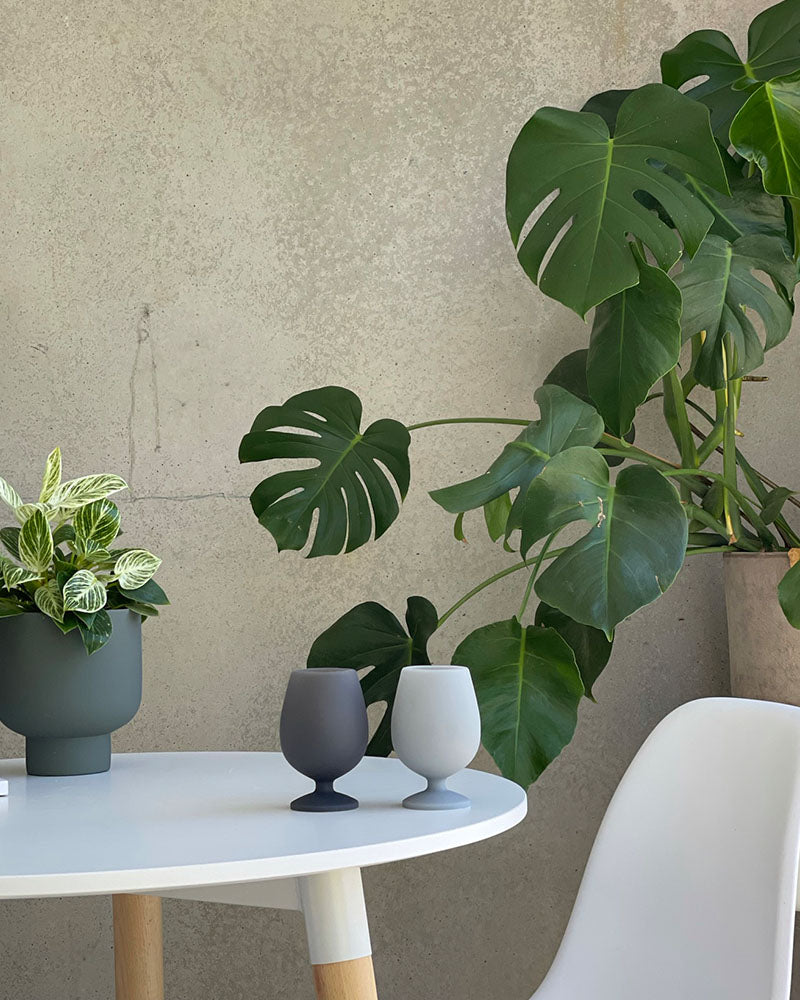 Stemm Unbreakable Silicone Wine Glasses- Whitehorse