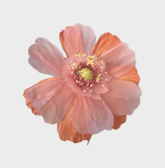 Large Paper Flower- Apricot