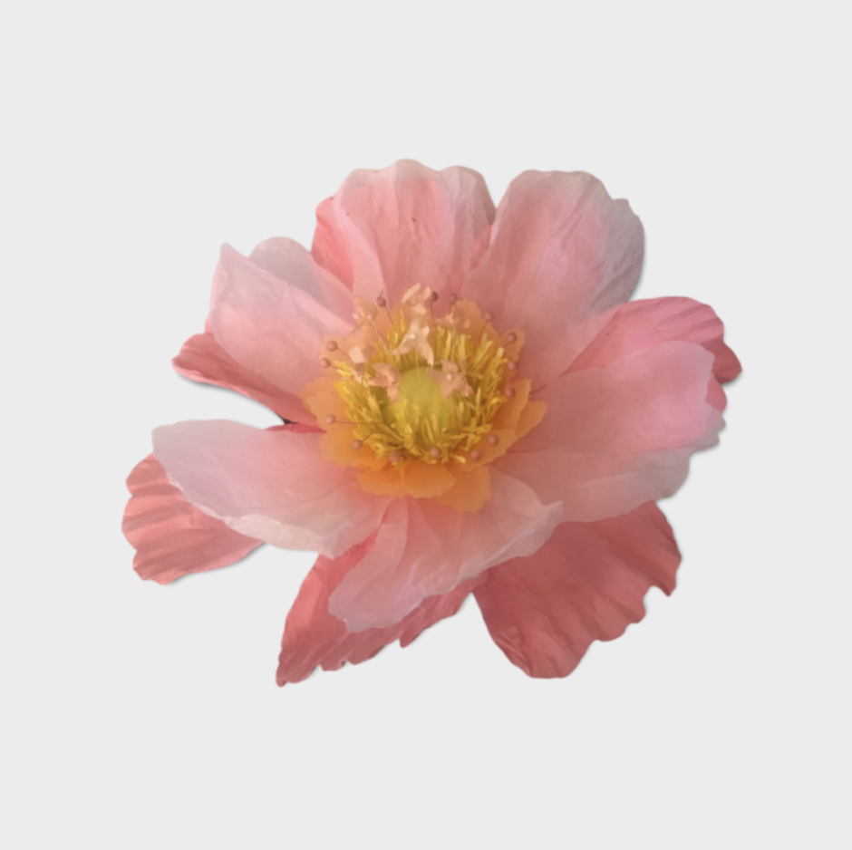 Large Paper Flower- Salmon