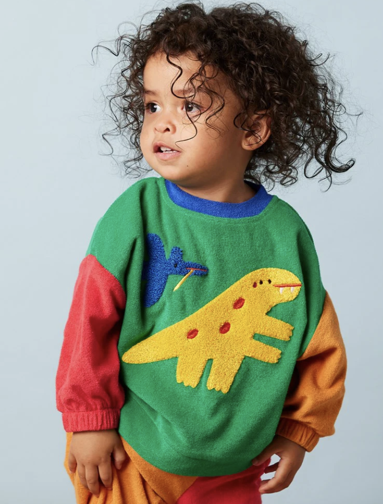 Dino Days Terry Sweater