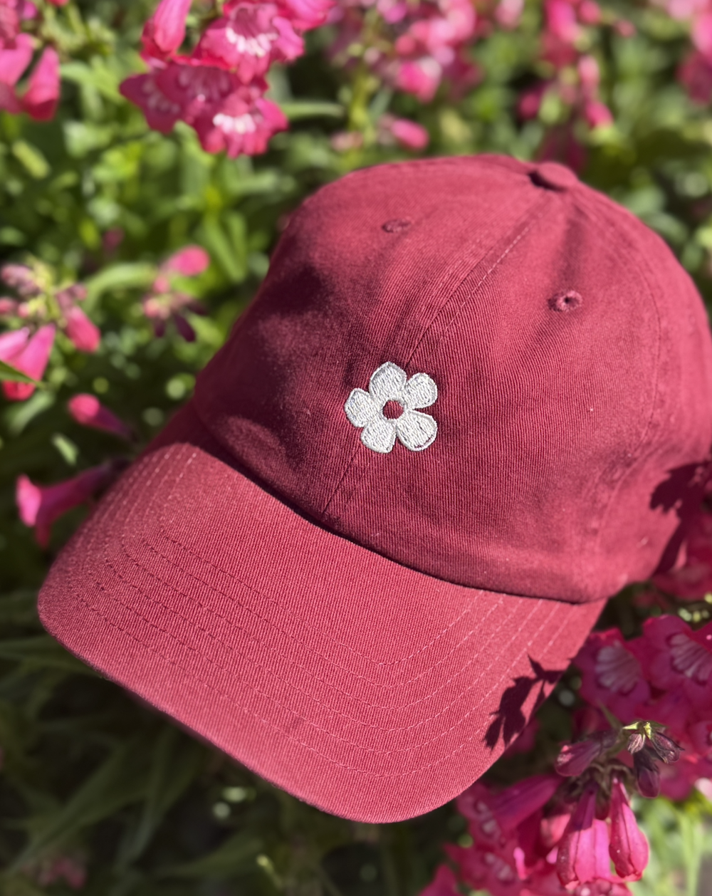 Marlbro House Cap- Merlot