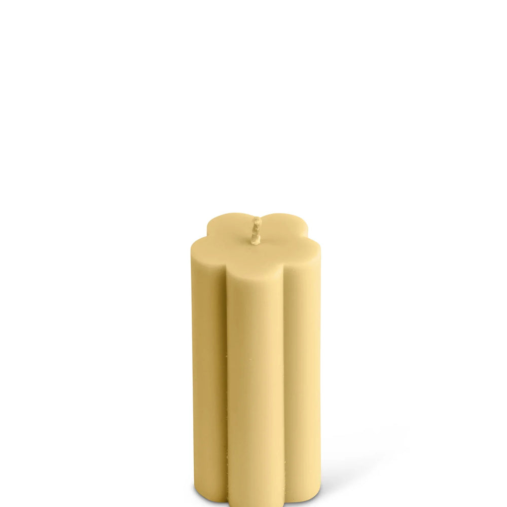 
                      
                        Daisy Candle
                      
                    