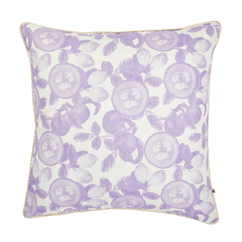 Rockmelon Wisteria 60CM